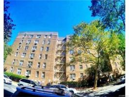1430 Thieriot Ave, Bronx, NY